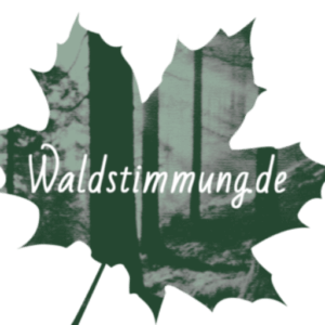 Waldstimmung Logo